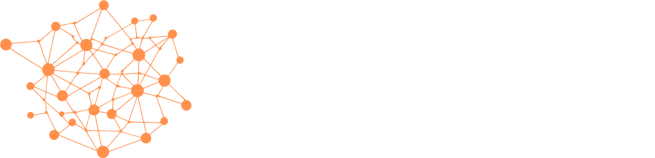 Paliton Networks